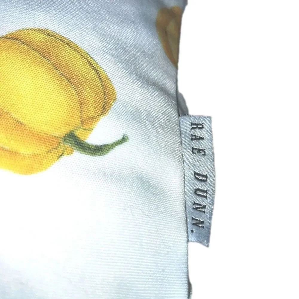 Rae Dunn Autumn Pumpkin Accent Pillows Feather Down Insert Removable Covers